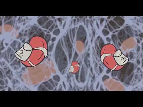 Fibrin and Enzymes: How to Reduce Inflammation