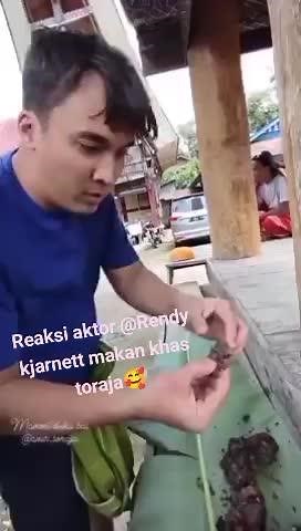 reaksi aktor dan artis di #torajasulawesiselatan #torayamaelo@@thekjaernetts @syahnazsadiqah18#viralvideo #aktorindonesia #selebritisindonesia #artisindonesiatiktok