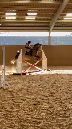 Little fail friday for you all! This is what happens when you’re so used to your pony running out but they actually jump it 🫣😂 #fail #equestrianfail #fyp #horse