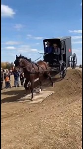 61K views · 632 reactions | Amish Buggy Stunt #amishtiktok #amishbuilt #amish #amishcountry #amishlife | Amish Talk | Facebook