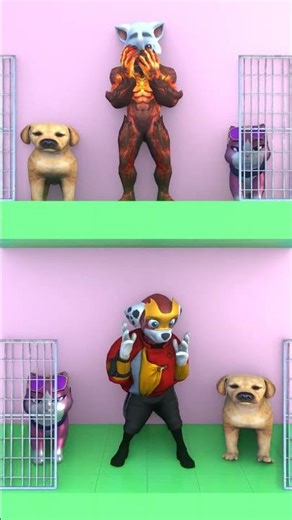 LET'S DANCE TO THESE GREAT DOG AND CAT MUSIC ROUTINES #dog #cat #cute #funny