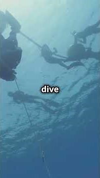 🌊🤯⚠️🩺🫁💨 The Deepest Free Dive Ever – Herbert Nitsch’s 831 ft 253m Record! 🫢🫁💨