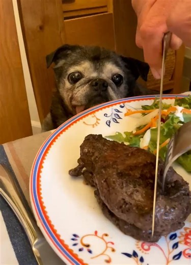 This tweet was very popular, but we did get one person having a go. Someone with no followers and doesn’t follow anyone. This means they set up the account just to wind us up. I reckon it’s that ginger Tom down the road!