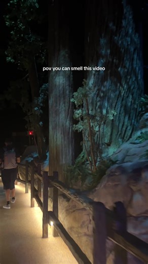 ET Adventure Experience at Universal Studios Orlando