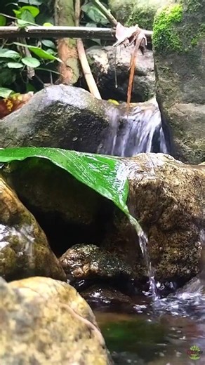 Mountain Stream and Leaf ASMR 🍃 Nature Sounds