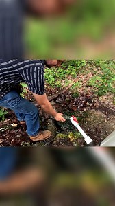 13K views · 547 reactions | Trying Mountain Spring Water In Georgia! #adventure #springwater #mountainspring #exploration | Adventures Into History | Facebook