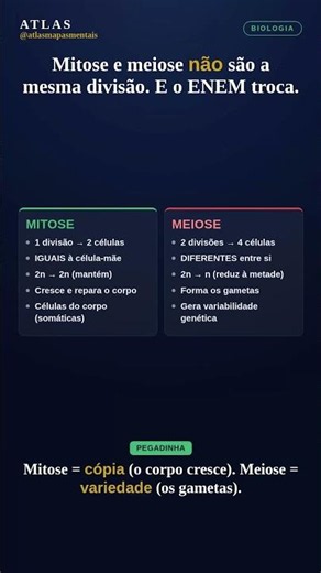Mitose x meiose: a troca que o ENEM adora (não caia) 🧬