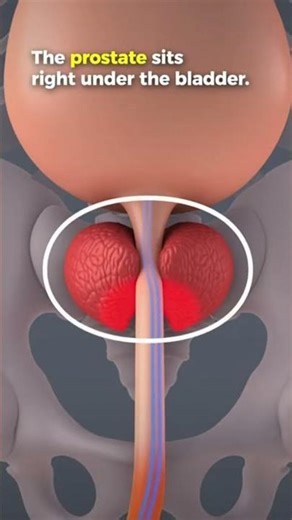 Prostate Problems Start Like This… Don’t Ignore It 🚨