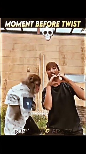 Monkey 🐵 Rocked girl shocked 😳