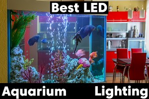 Best LED Aquarium Lighting for Plants or Corals (2026 Reviews)