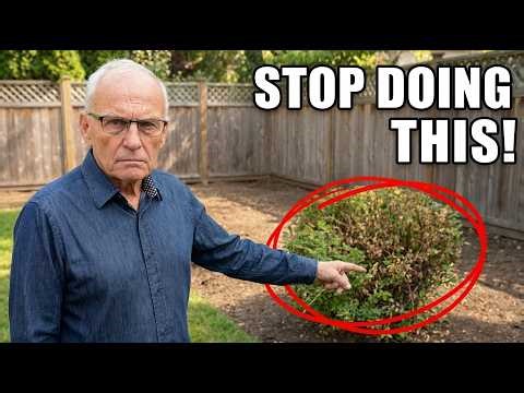 My 14 Most Valuable Landscaping Tips for ANY Garden