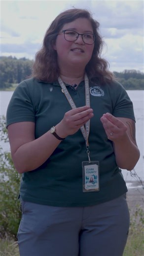 How to identify benthic algae mats
