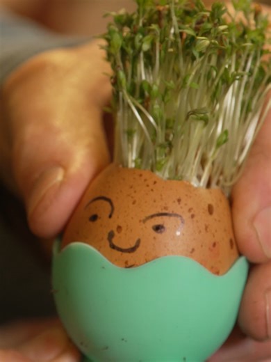 Alan’s Secret to Making Kids Love Gardening