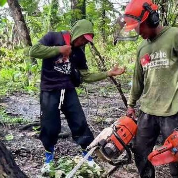 Cut Down Leaning Tree!