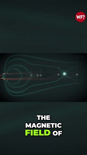 🎥 At The Why Files, we dig into the mysteries—separating 🧠 fact from 🤔 fiction while keeping you entertained! Check out TheWhyFiles.com to find more If you have tips and story ideas send the to @Wheres_Gino the producer of The Why Files ⚠️ Disclaimer: This content is for entertainment purposes only. It explores mysterious, speculative, and historical stories that are not presented as established facts. Viewer discretion is advised. #TheWhyFiles #HeckleFish #Mystery #FactOrFiction #StayCurious