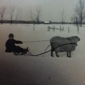 Jul 17, 2021: "Rockin On The River" (Cuyahoga Falls, OH) / "Wish You Were Here: A Tribute To Pink Floyd" / Colin Dussault's Blues Project at Black River Landing Lorain, Ohio, United States | Concert Archives