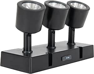 Sunjoy Magnetic LED Spot Lights Potable Spotlight Adjustable Tilt Angle Accent Lighting, USB Rechargeable Wireless Rotating Work Llight with Magnetic Attachment, Hook and Remote, Black