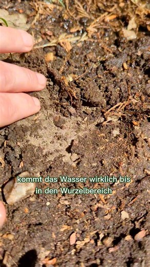 Der häufiste Fehler beim Gießen und wie Du ihn behebst