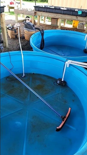 AQUAPONICS FARMING - aquaponics diy