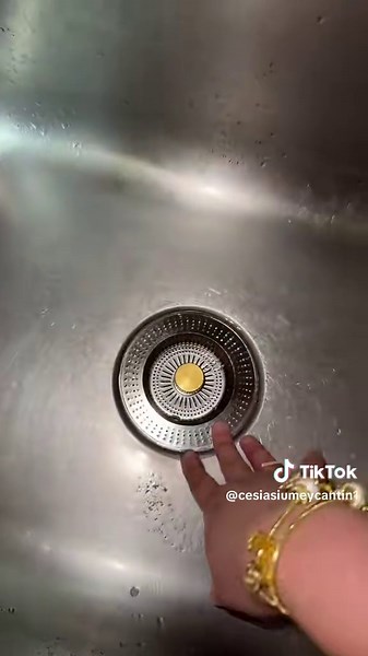 Top Kitchen Accessories You Need for Your Home