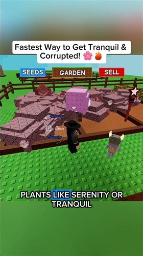 Kodama Method: Easy Tranquil & Corrupt for Kitsune Chests! | Zen Event Grow a Garden Roblox