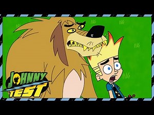 Johnny's Camp Trip Goes Wrong | 40 Minutes of Full Episodes | Johnny Test - WildBrain