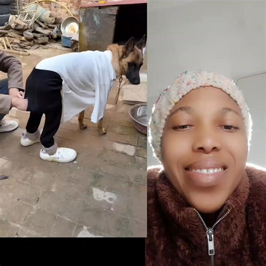 Cute dog getting dressed #animals #dog #fblifestyle | Dumbiri ijeoma