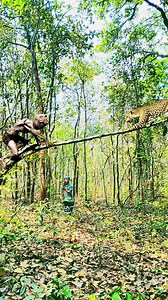 Zombie ghost 🥶 cheetah 🐆 attack #cheetah #zombie #ghost #viralreelsシ #reel #reels #viral #trendingreels #viralreels #trending #facebook #AmaZing #fbreels #wildlife | Duari Behera