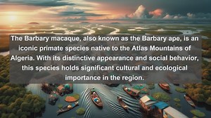 Discover Algerias Natural Treasures: Top 10 Native Fauna