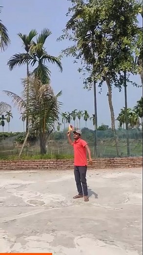 19K views · 25 reactions | DIY Manual Flying Birds The DIY Flying...