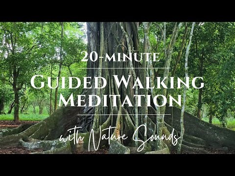 20 Min Guided Walking Meditation with Nature Sounds | Mindfulness In Nature 🐦