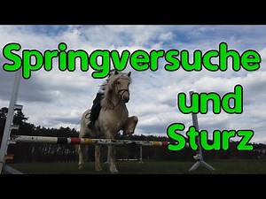 The first jumping attempts for horse and rider