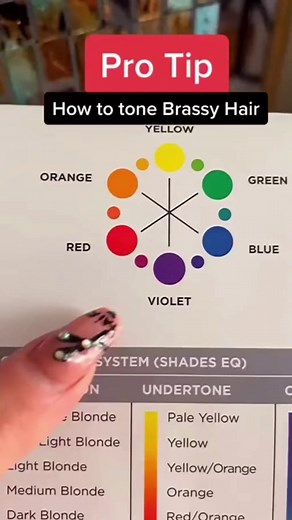 3.7K views · 281 reactions | Knowing the COLOR WHEEL helps you choose between PURPLE or BLUE Shampoo  #purpleshampoo #ledafazal #hairstylist #hairdresser #northcarolina #919 #raleighnc TONE HAIR SALON | Leda Fazal | Facebook