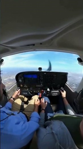 Bird Strike Scare! 🐦✈️ Instructor Reacts Fast! #tiktok #shorts #ytshorts #1000subscriber #AI