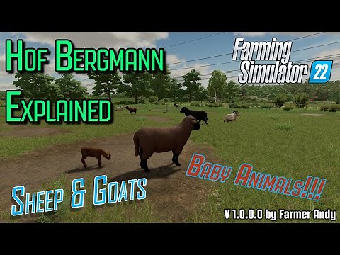 👨🏼‍🌾 FS22 Hof Bergmann Explained 👨🏼‍🌾 Sheep & Goats