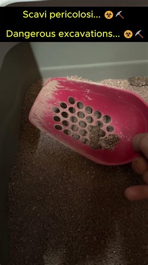 Archeologia estrema! ⛏️💩| Extreme archaeology! ⛏️💩