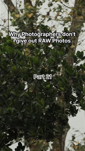 Why Photographers don't give out RAW photos.. #part21 #shorts #photography #editing