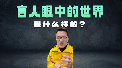 脑机接口视觉重建，盲人看到的图像到底什么样子？#脑机接口 #视觉重建 #blindsight