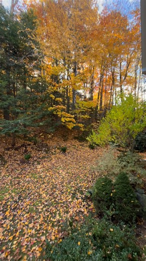 As one season ends,another begins.It’s a reminder that we can always start over | Anelyn McMath