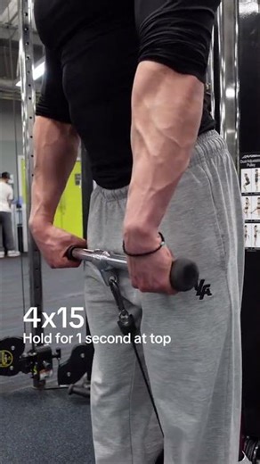 Top Class 4 Exercise for forams Workout At Gym For Beginners Men 💪🔥🥵