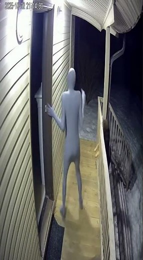 Alien vs Dog part 2#sehar