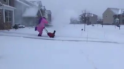 159K views · 3.1K reactions | It's a rare sight -- but very Michigan: A pink unicorn was spotted snow blowing in South Lyon this week. | WDIV Local 4 / ClickOnDetroit | Facebook