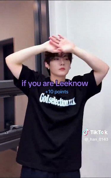 let's see if you are HAN's ideal type! 🎸🪽🎶🐿️❤️ .... #hanjisung #fyp #idealtype #straykids #skz