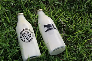 Raising Awareness of Dangers of Raw Milk - UC Davis Western Institute for Food Safety and Security