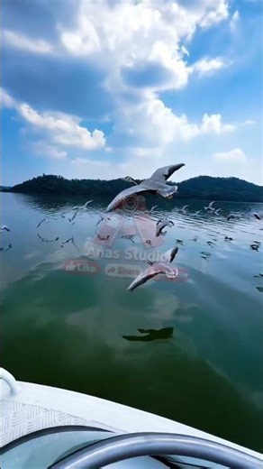 Daily World's Most Beautiful Video - Vision 4K - ‪@ANASSTUDIO-1‬