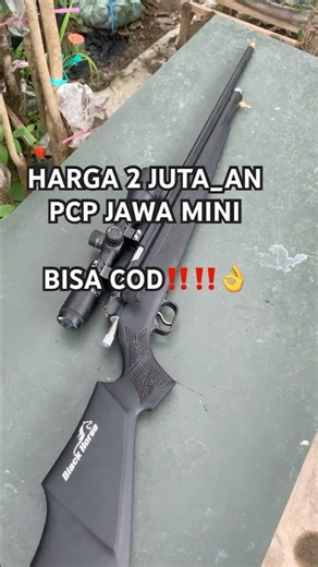 PRICE 2.5 PCP JAVA MINI #air rifle #bocap rifle #pcpbiggame #hunting #pcphunters