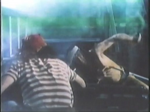 Full VHS Tape: Pippi in the South Seas (1970) - VIDEO GEMS (1980's)
