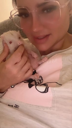 ‎Manel Amara / منال عمارة‎ on Instagram: "My #konfida ❤️🥰🥰☺️☺️#hedgehog #hérisson"