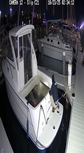 🚨 Marina Boat Sinks Overnight - Caught on Camera! #MarinaSafety | Boat Fails
