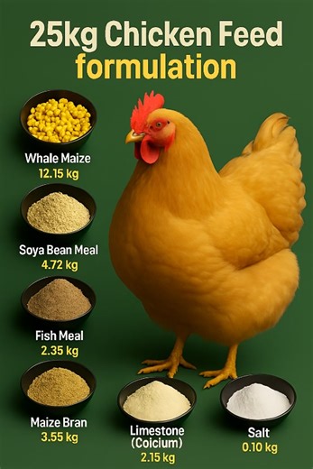 25kg Chicken Formulation Feed #feedformulation #chickenfeeding #orpingtonchickens | Farming Tech& Business